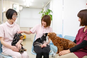 当院に決めた理由は?