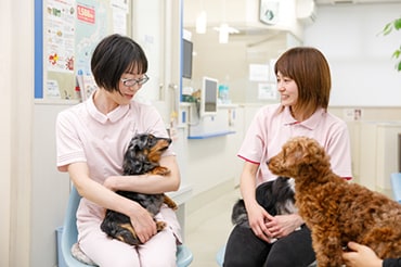 どんな職場ですか?