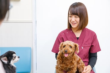 他院との違いは?